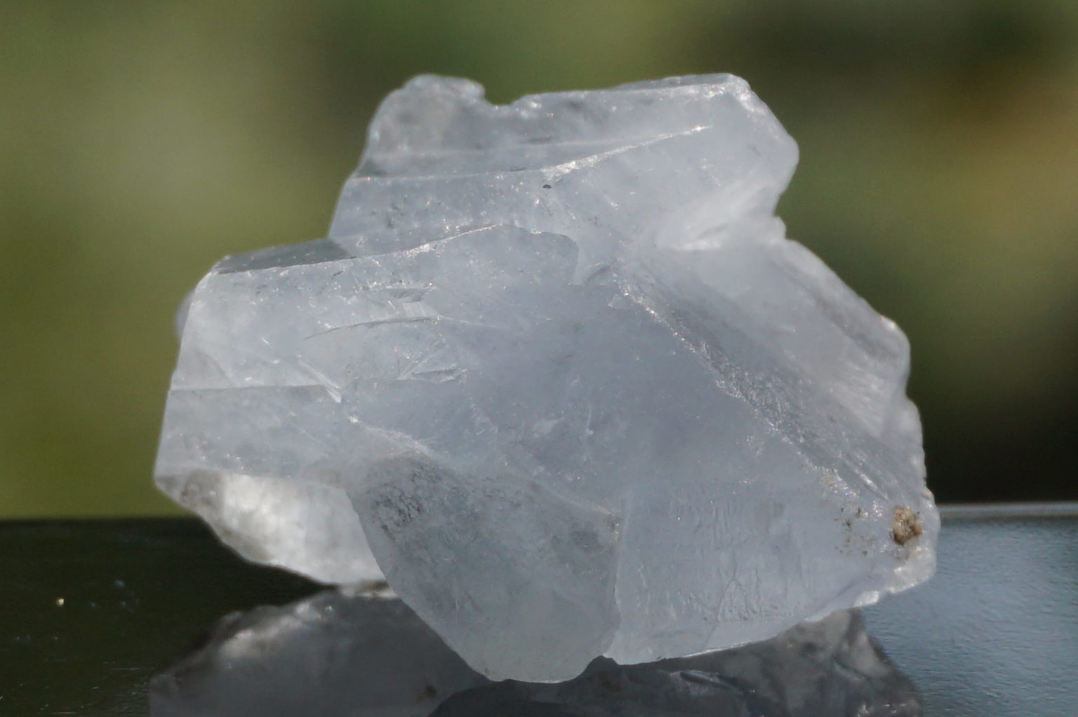 celestite31