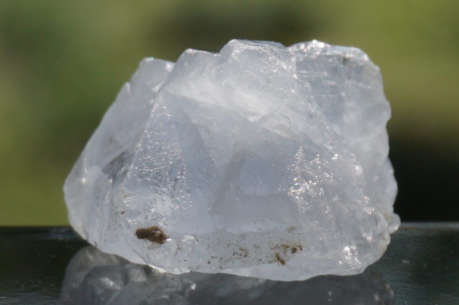 celestite31