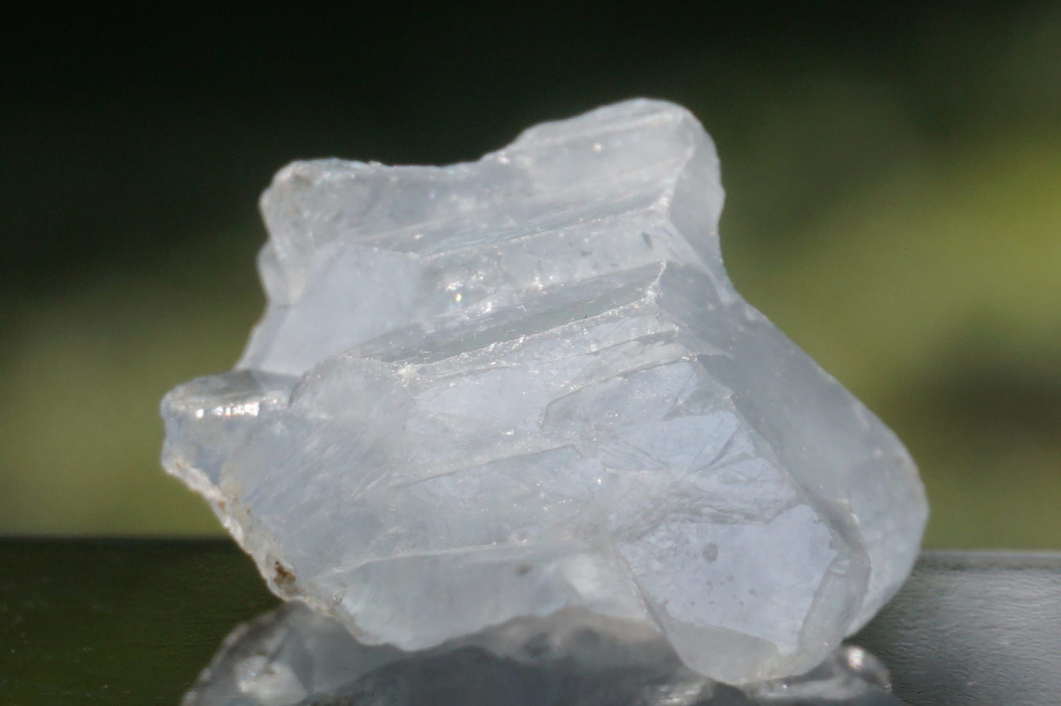 celestite31