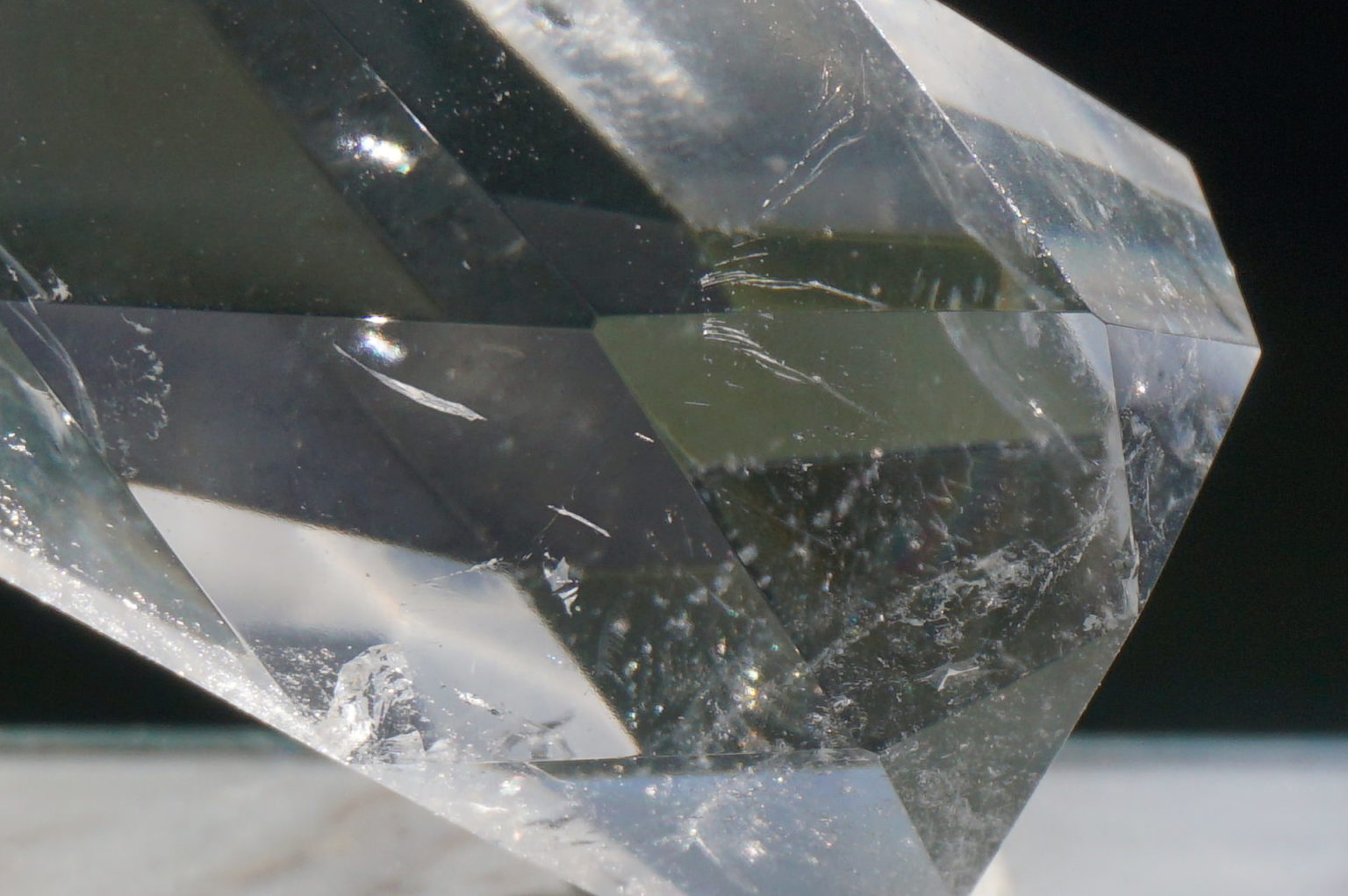 c-egg-cut-lemurian06