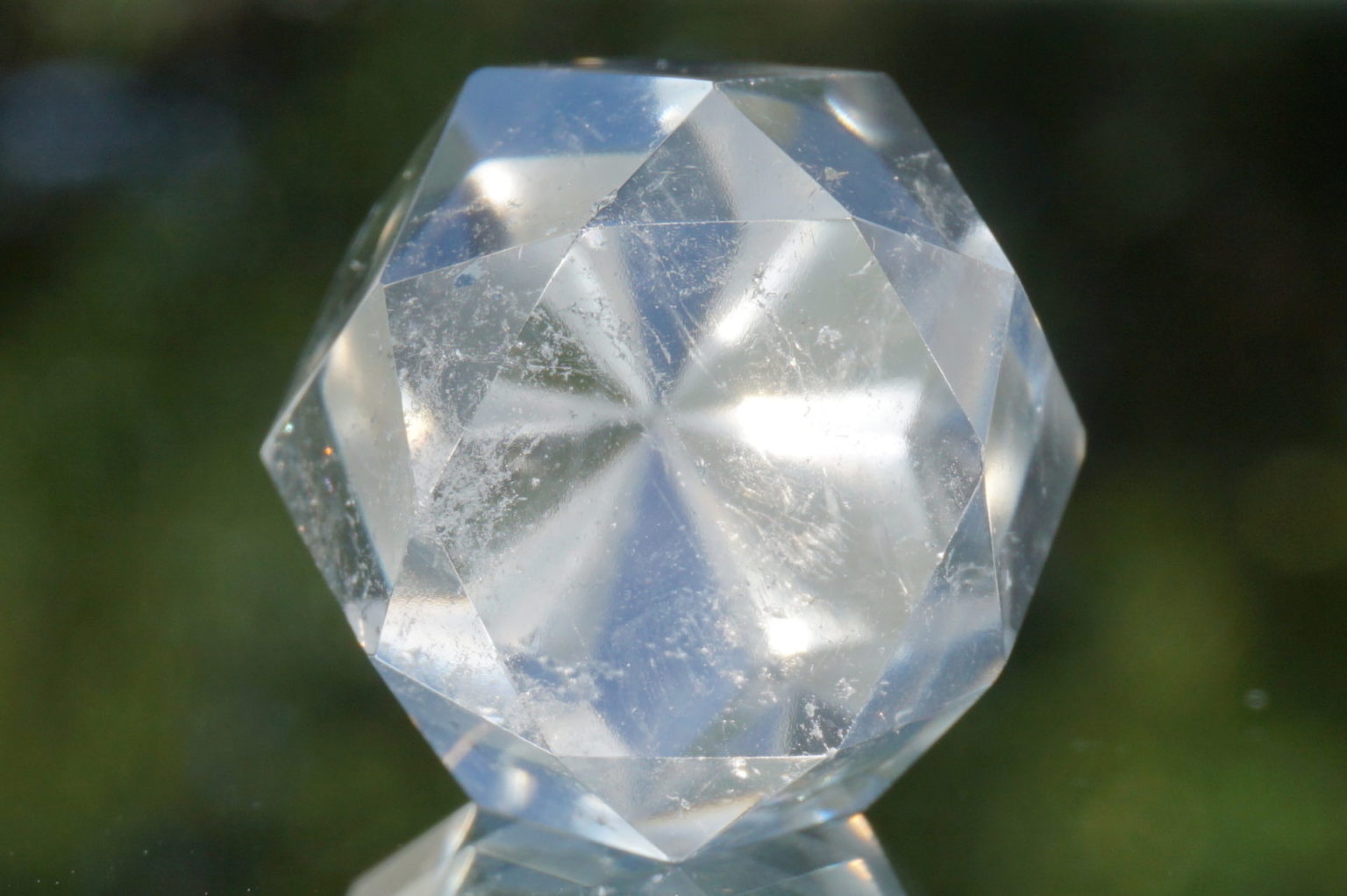 c-egg-cut-lemurian06