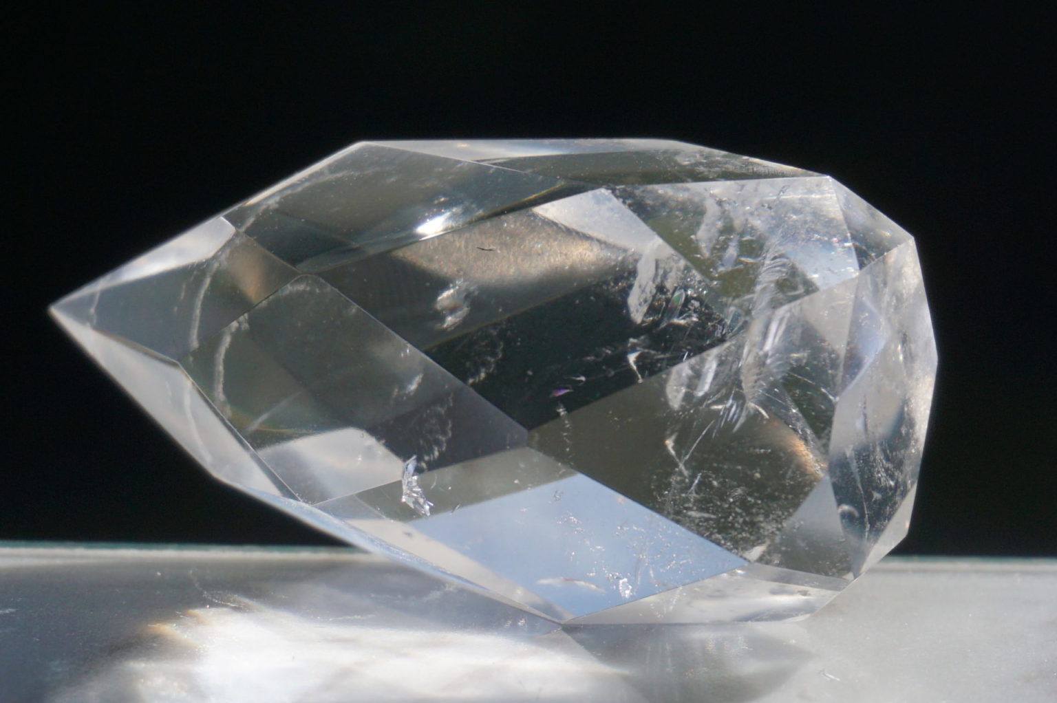 c-egg-cut-lemurian06