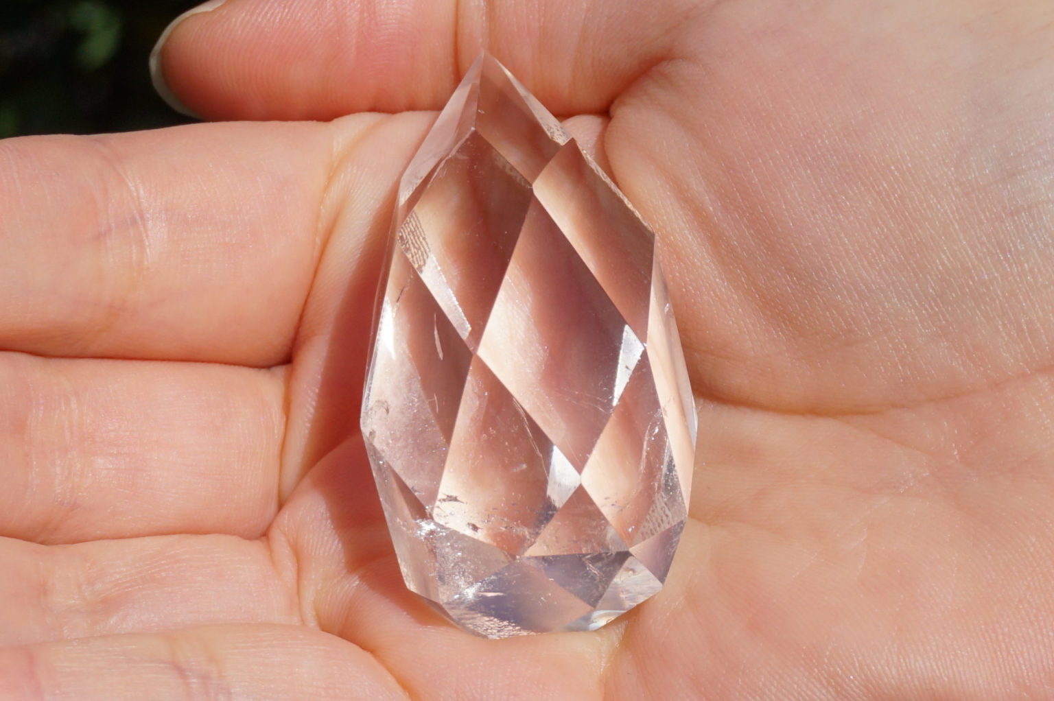 c-egg-cut-lemurian06