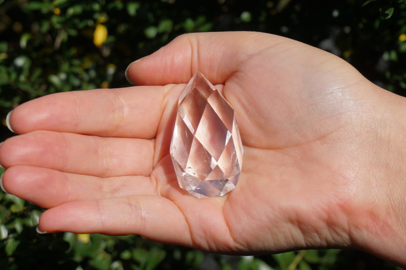 c-egg-cut-lemurian06