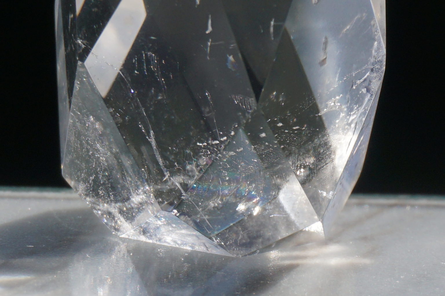 c-egg-cut-lemurian06