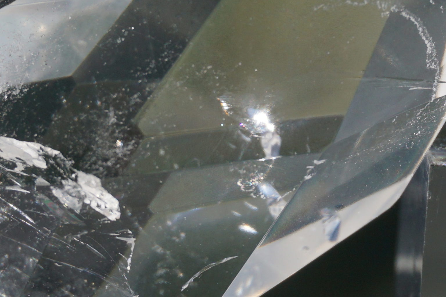 c-egg-cut-lemurian06