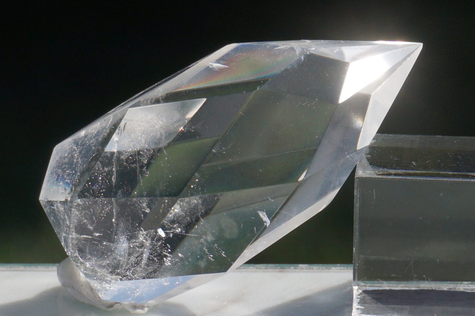 c-egg-cut-lemurian06