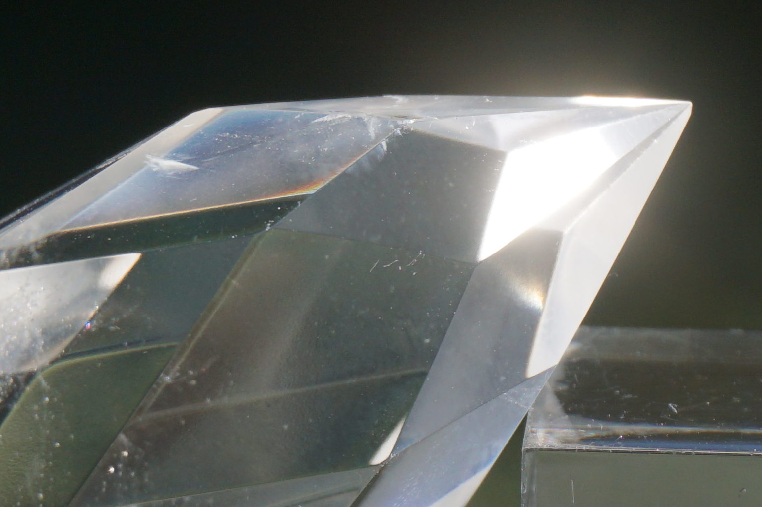 c-egg-cut-lemurian06