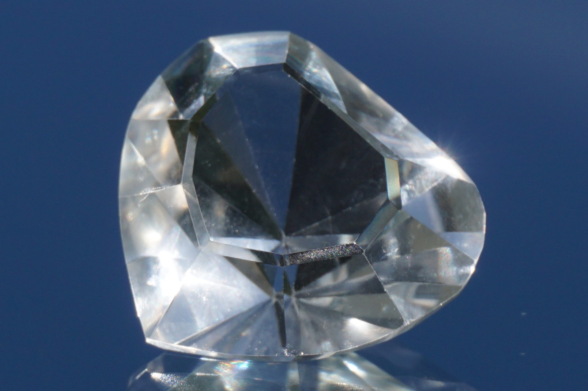 heart-goias-lemurain01