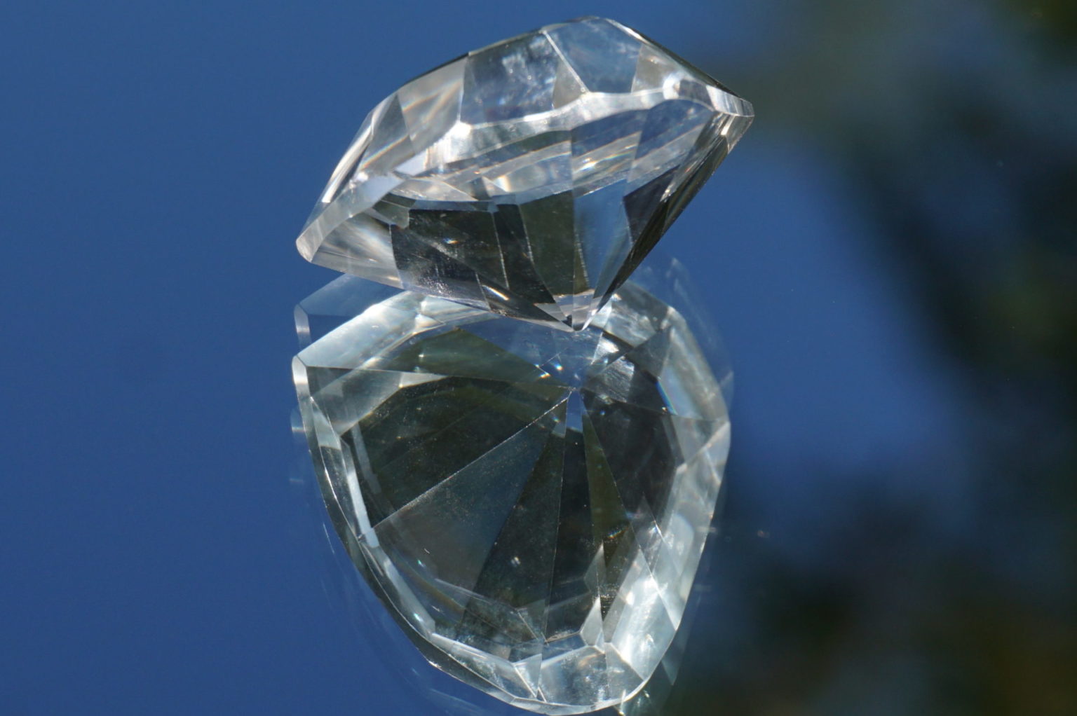 heart-goias-lemurain01