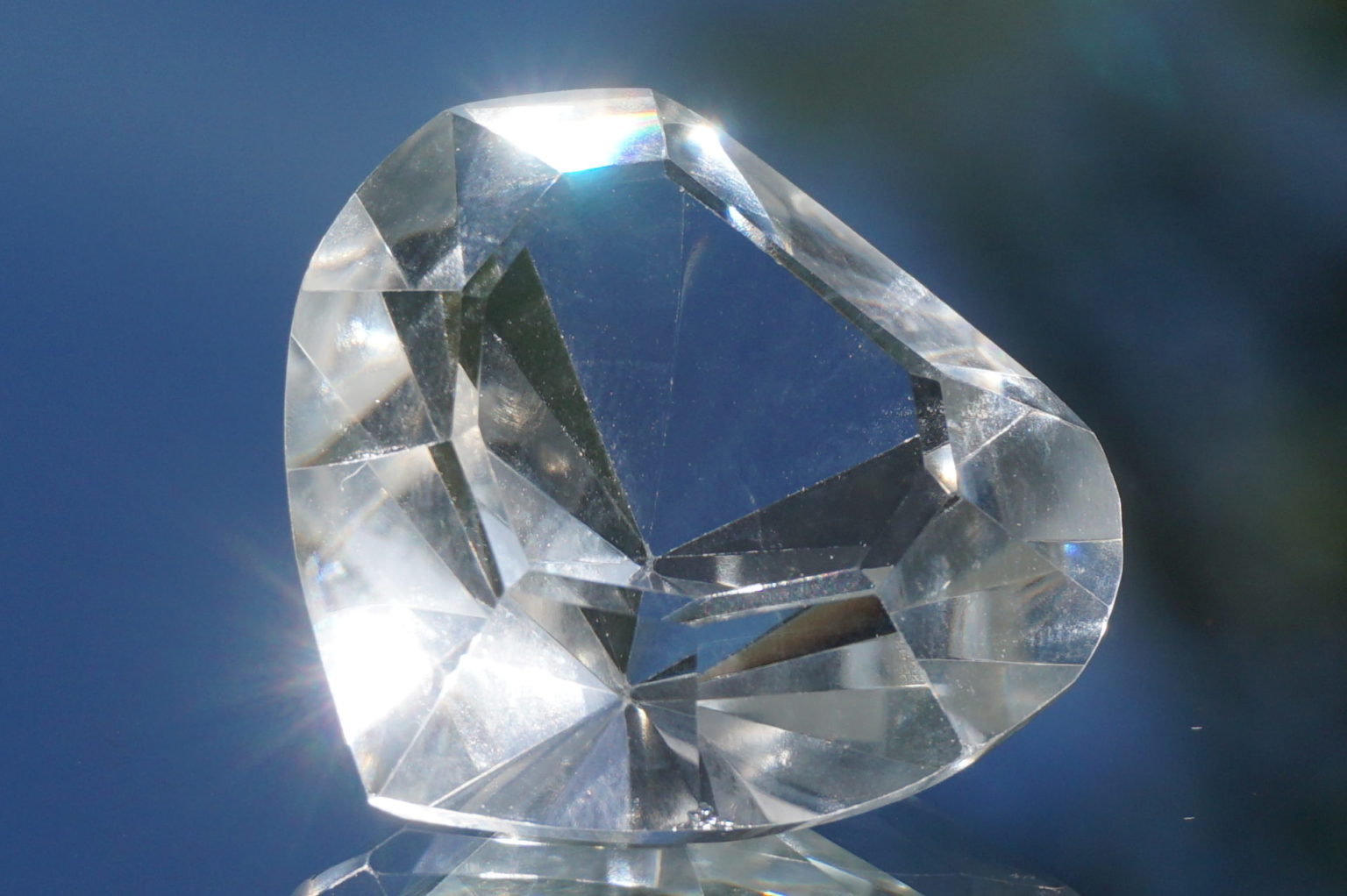 heart-goias-lemurain01