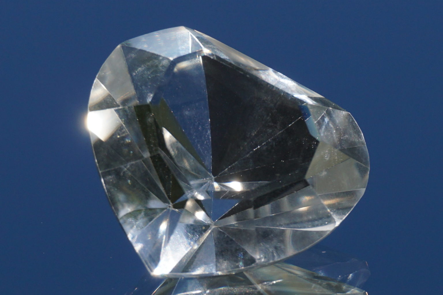 heart-goias-lemurain01