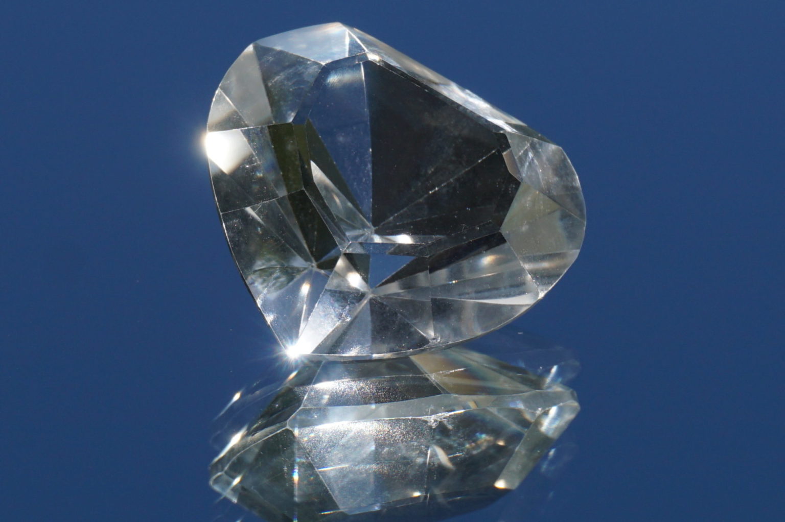 heart-goias-lemurain01