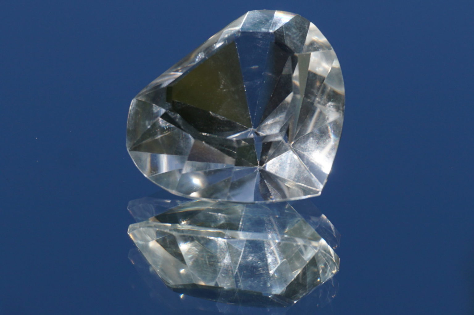 heart-goias-lemurain01