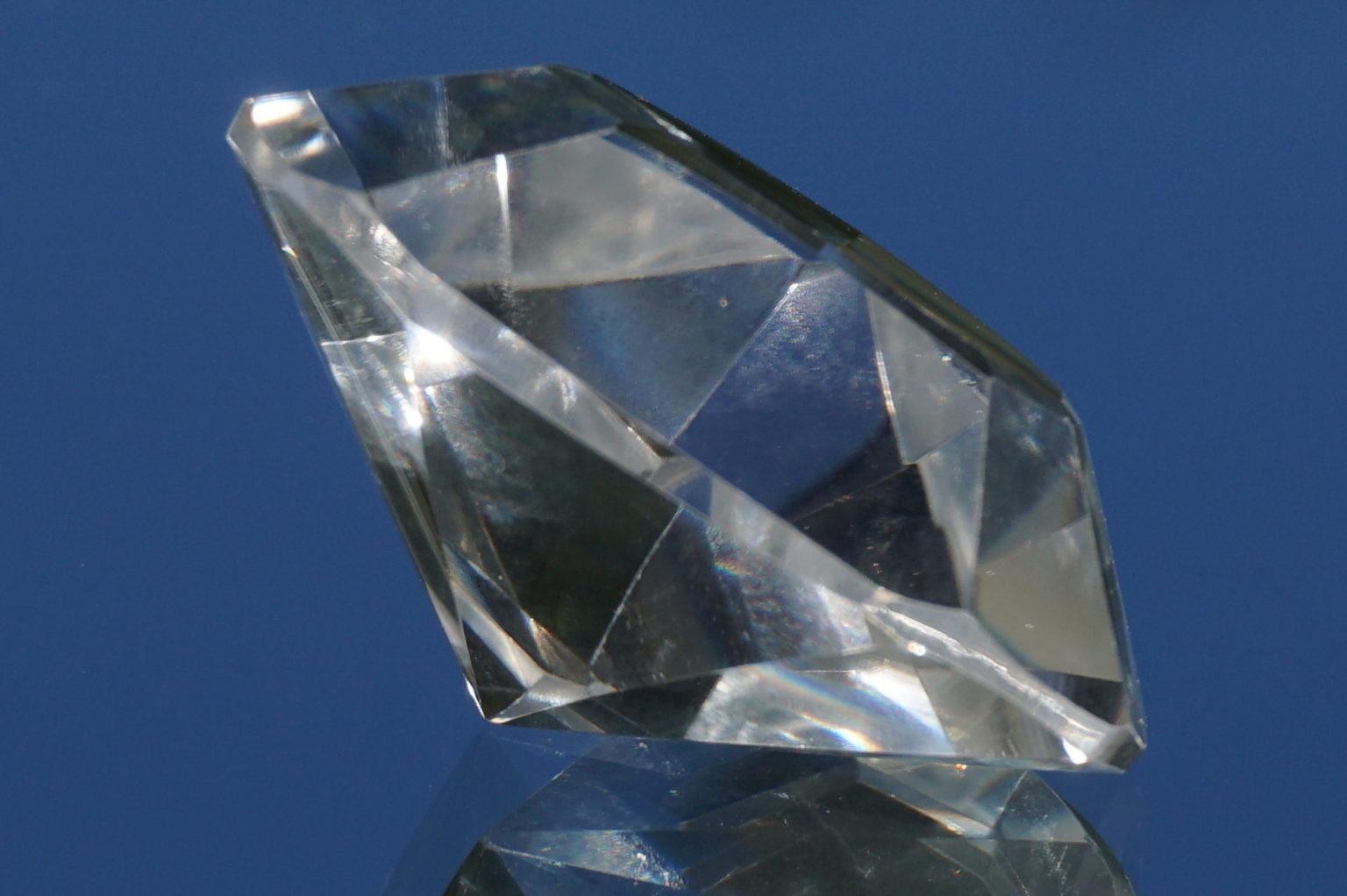 heart-goias-lemurain01