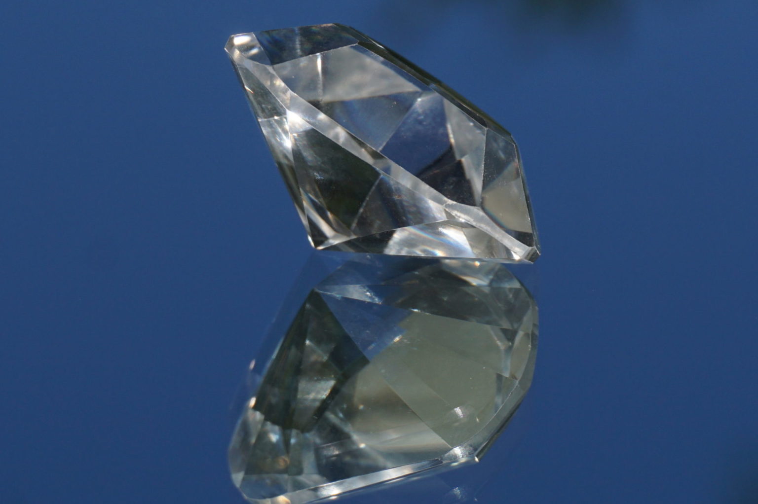 heart-goias-lemurain01