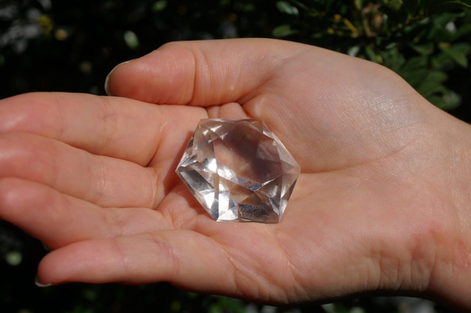 hexagram-goias-lemurain01