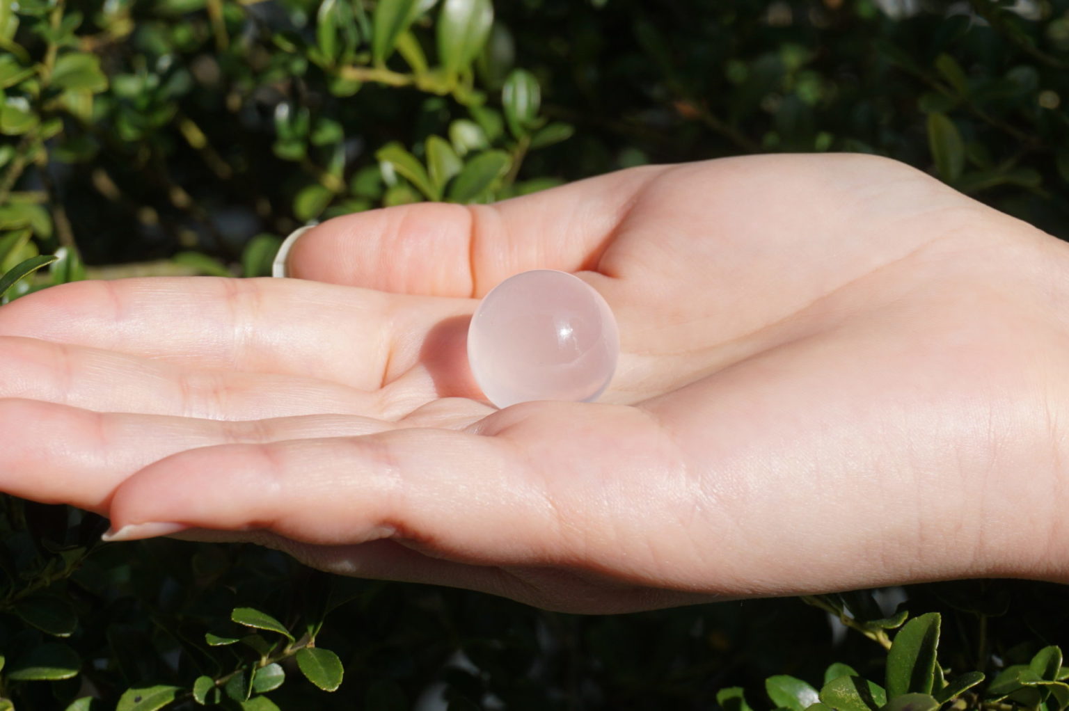 metamorphosis-sphere01