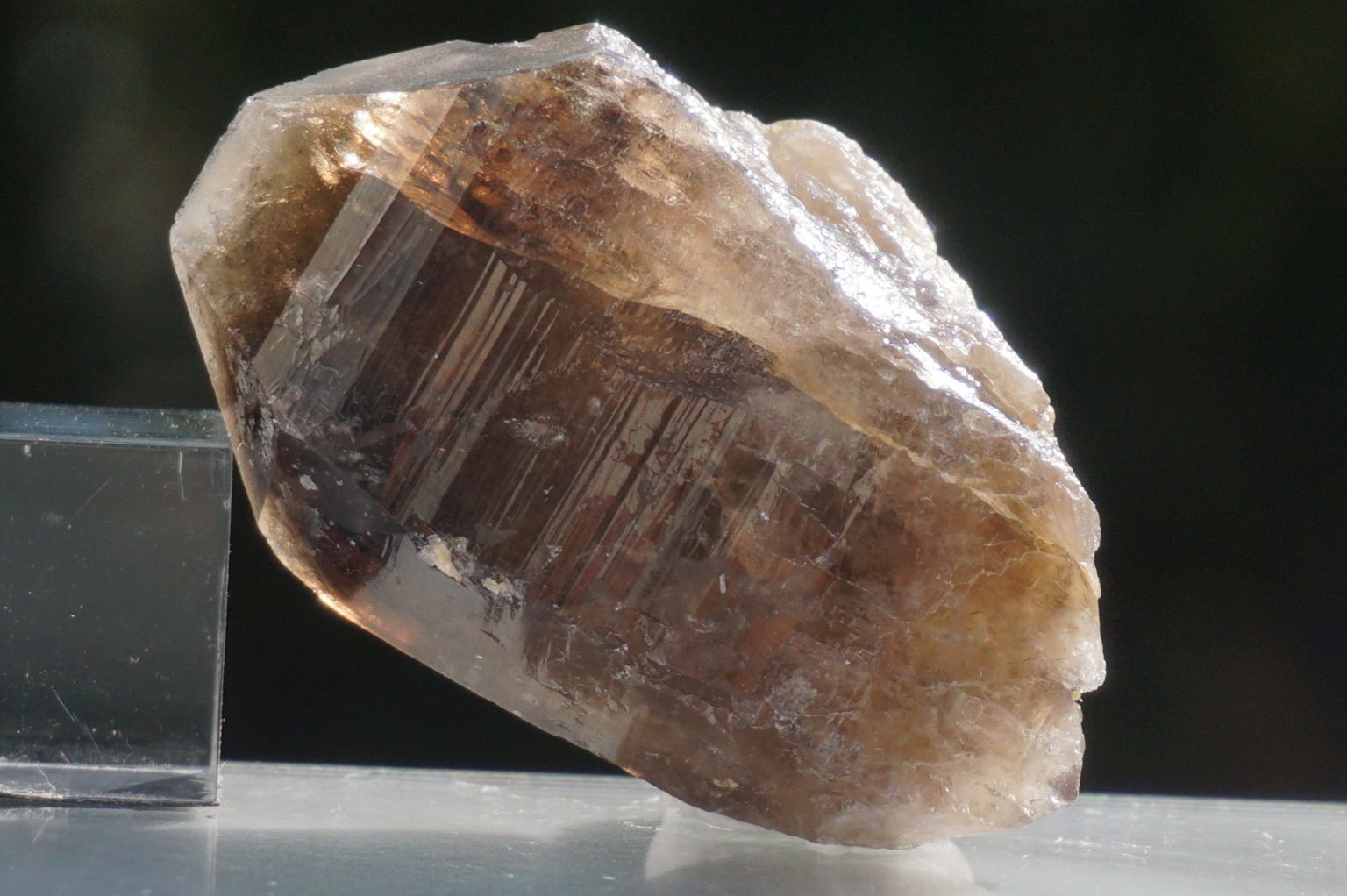 nakatsugawa-smokey89