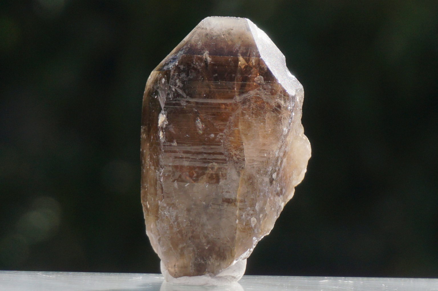 nakatsugawa-smokey89