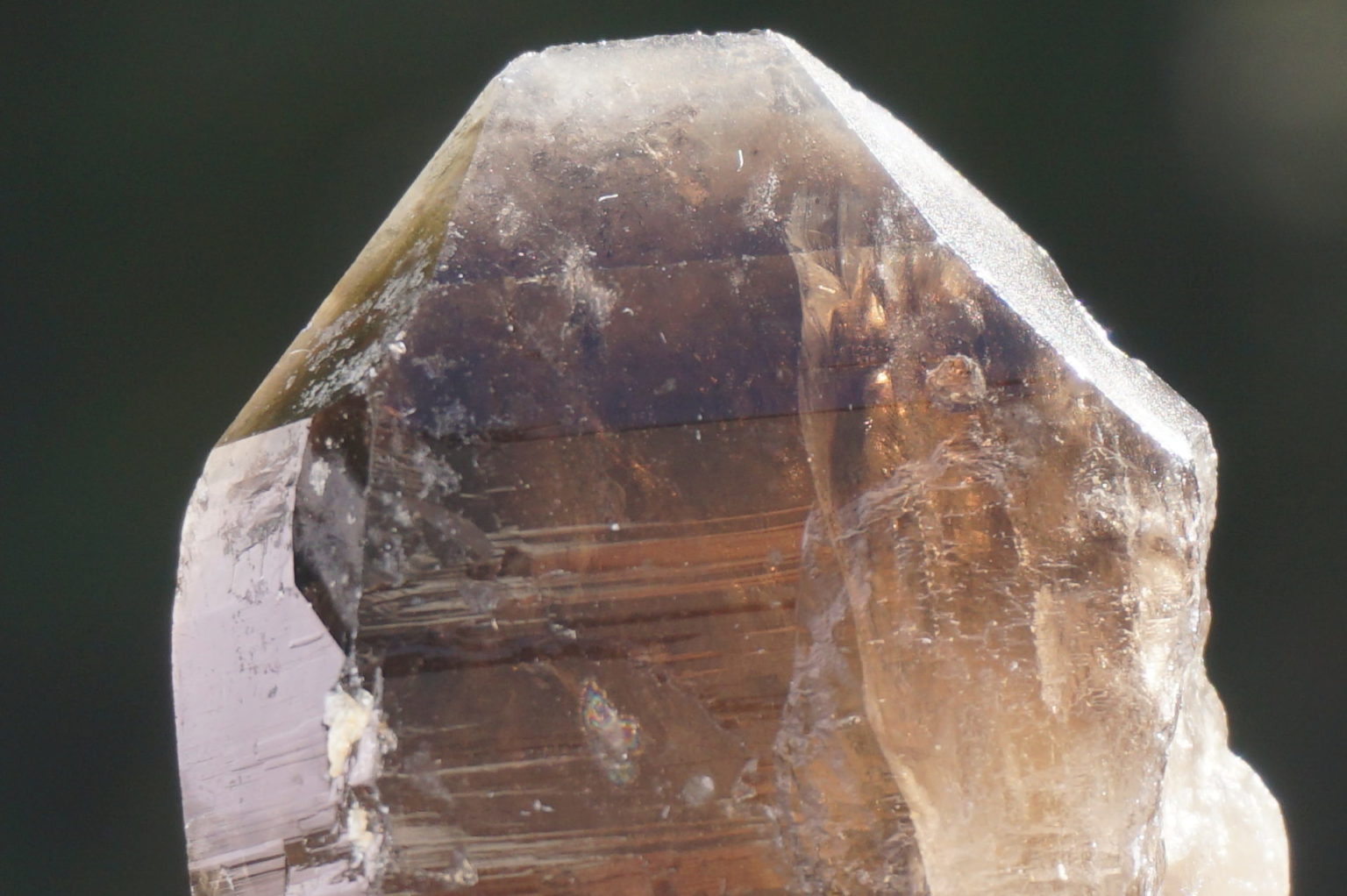 nakatsugawa-smokey89