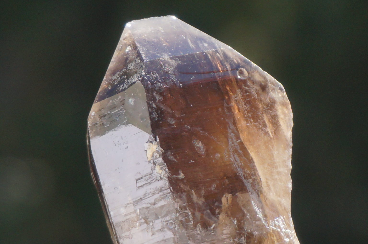 nakatsugawa-smokey89