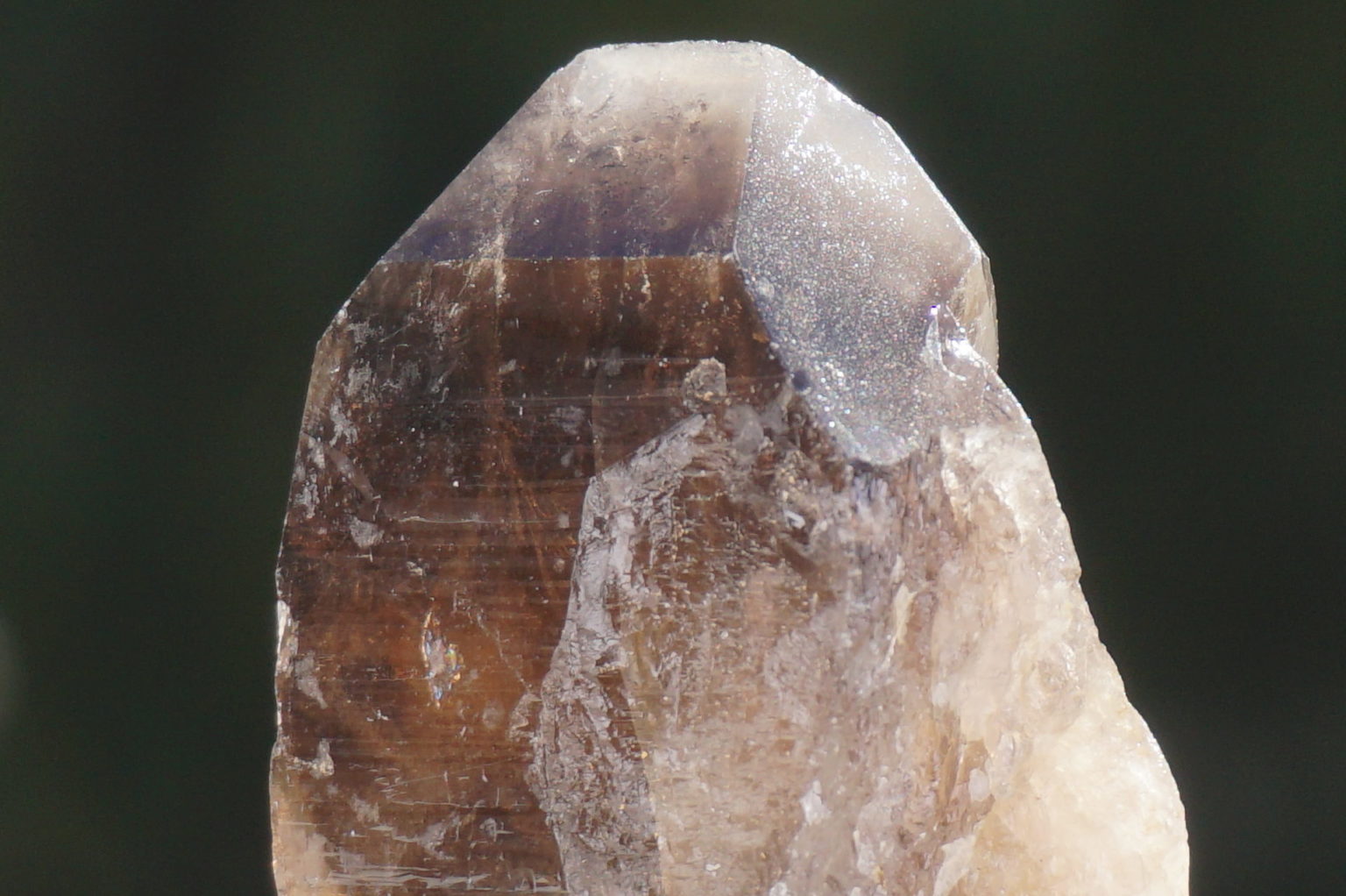 nakatsugawa-smokey89