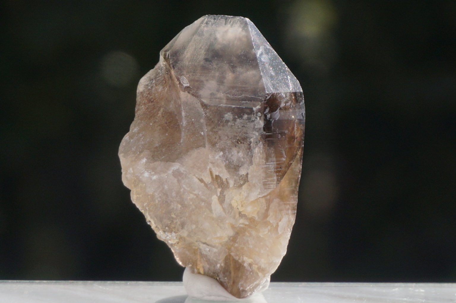 nakatsugawa-smokey89