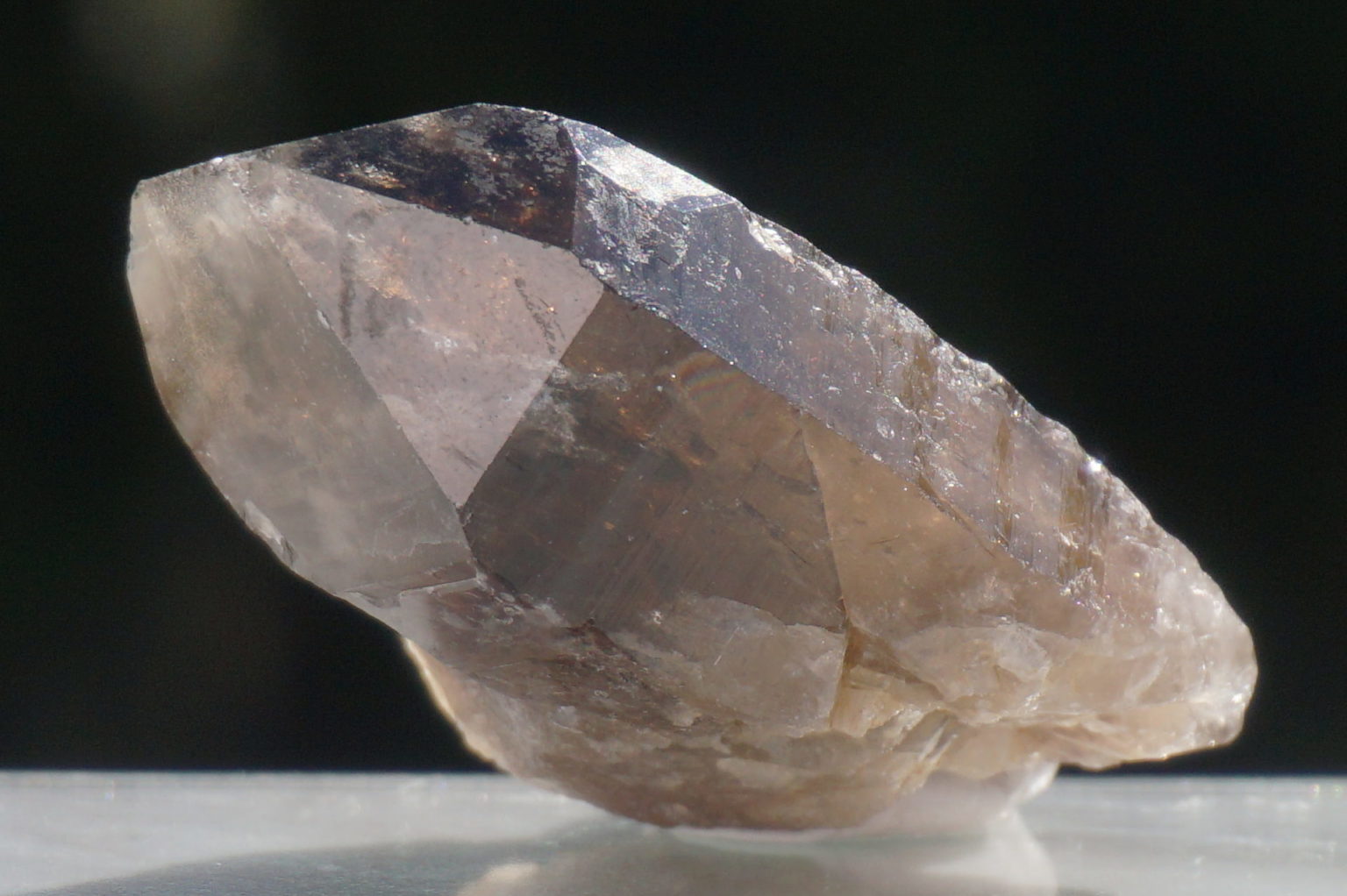 nakatsugawa-smokey89