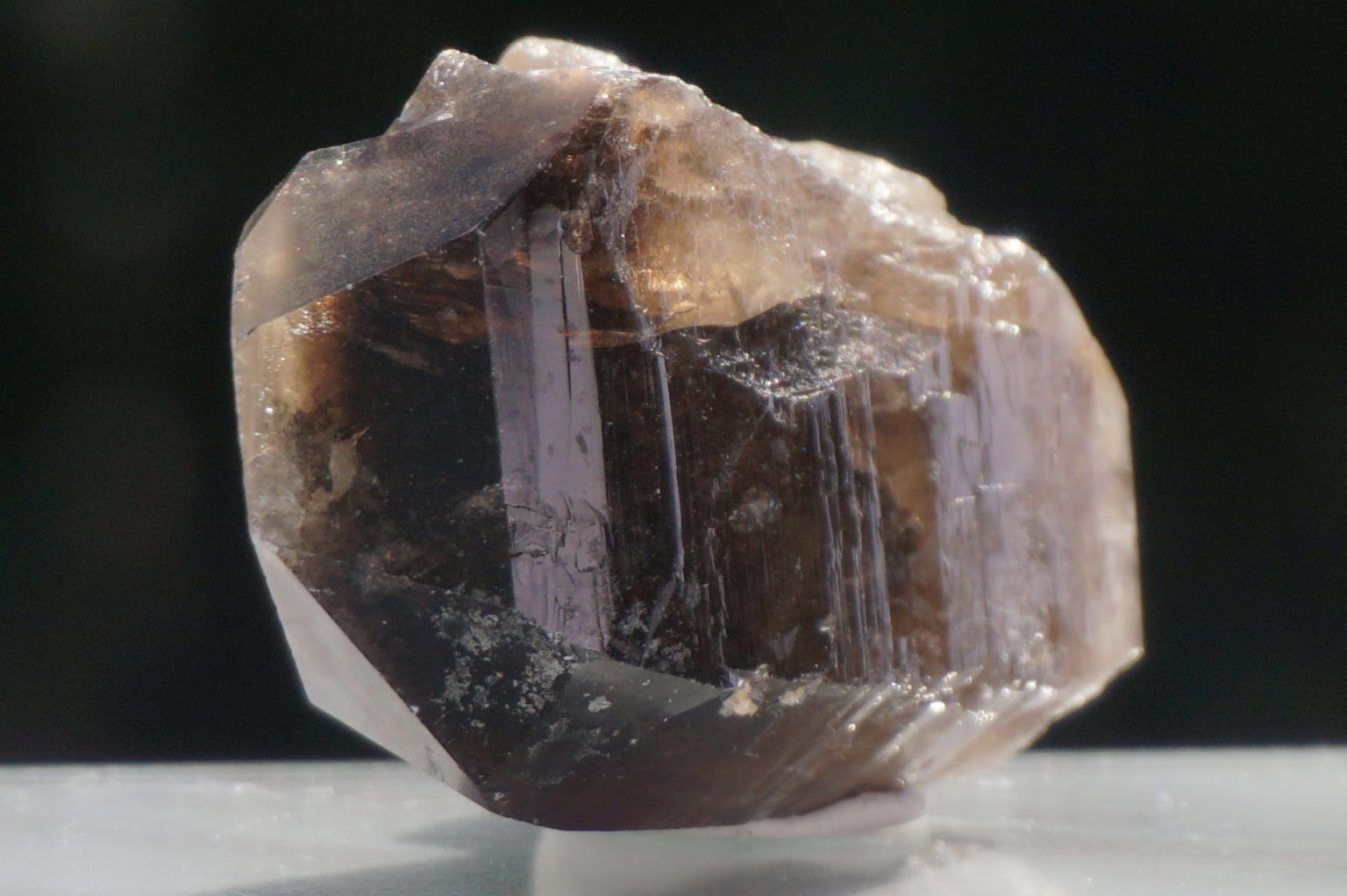 nakatsugawa-smokey89