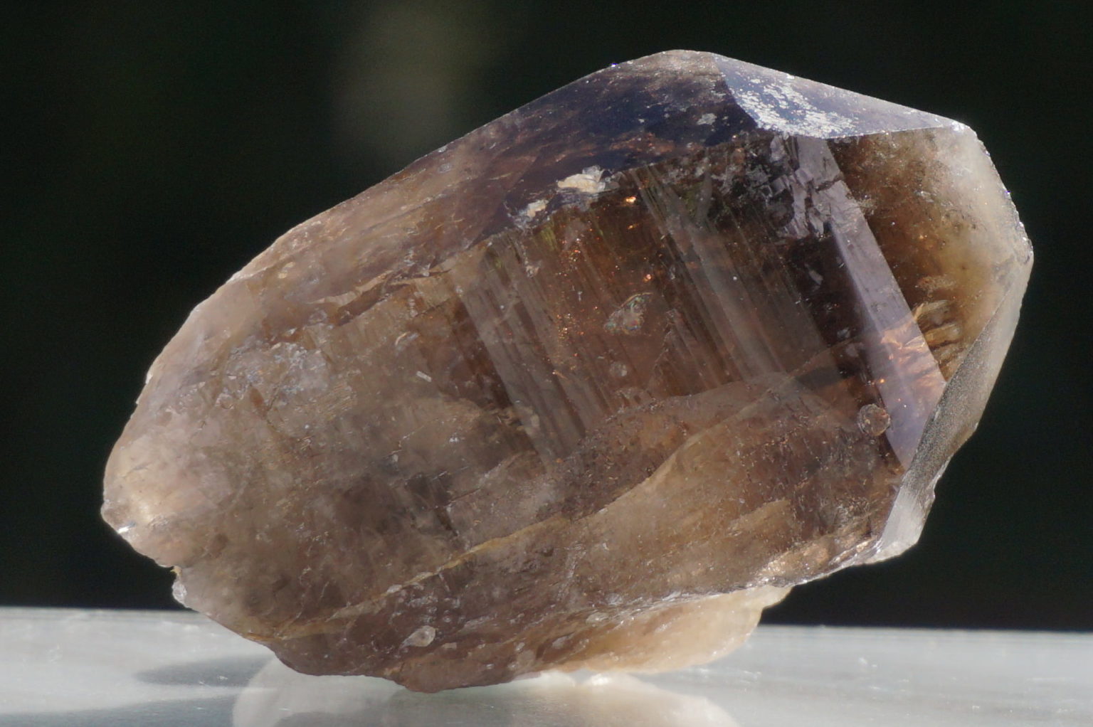 nakatsugawa-smokey89