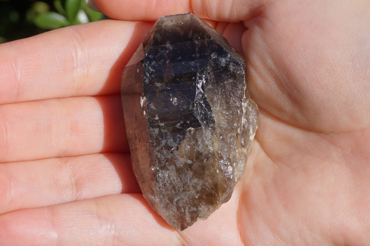 nakatsugawa-smokey89