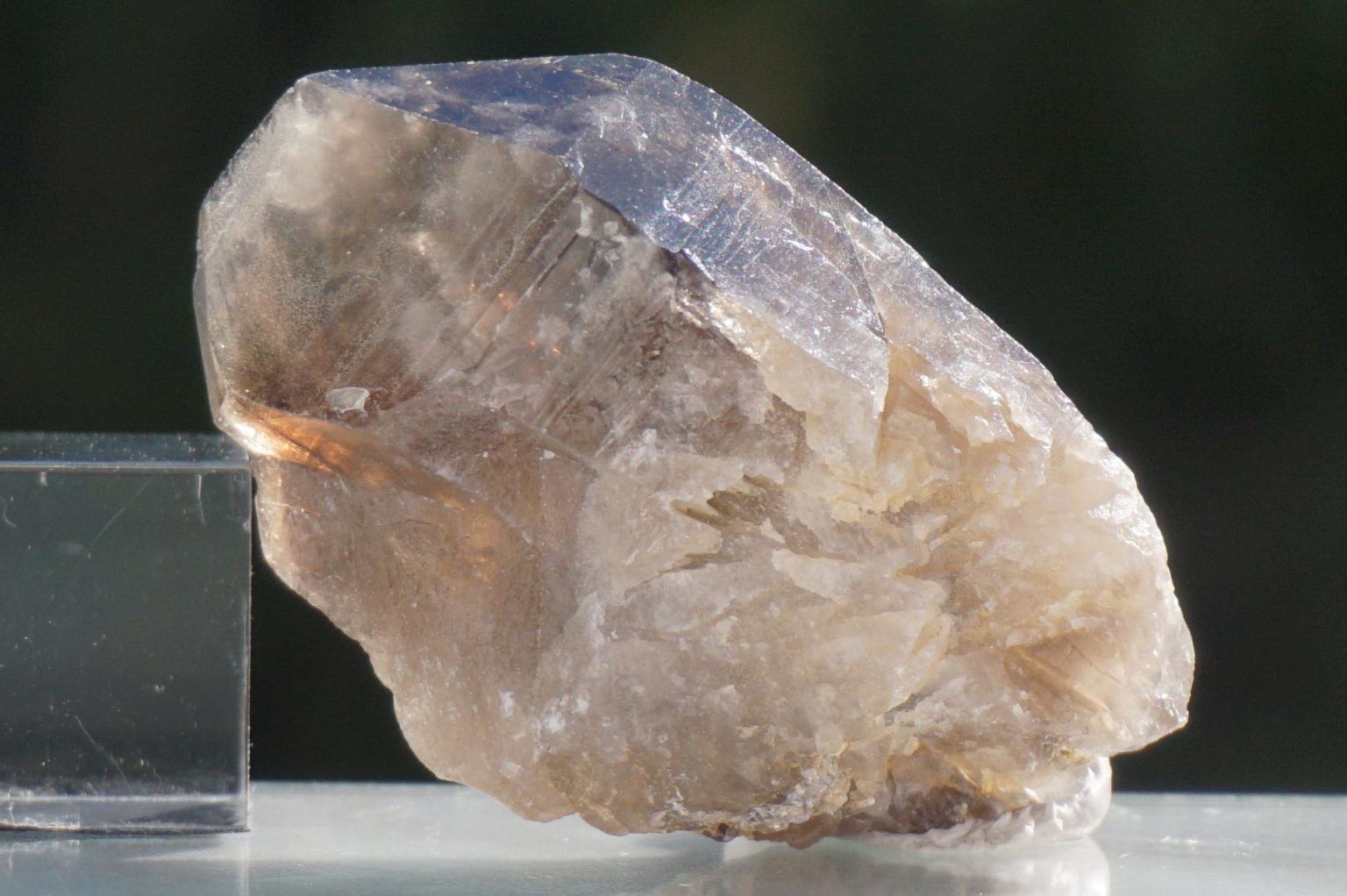 nakatsugawa-smokey89