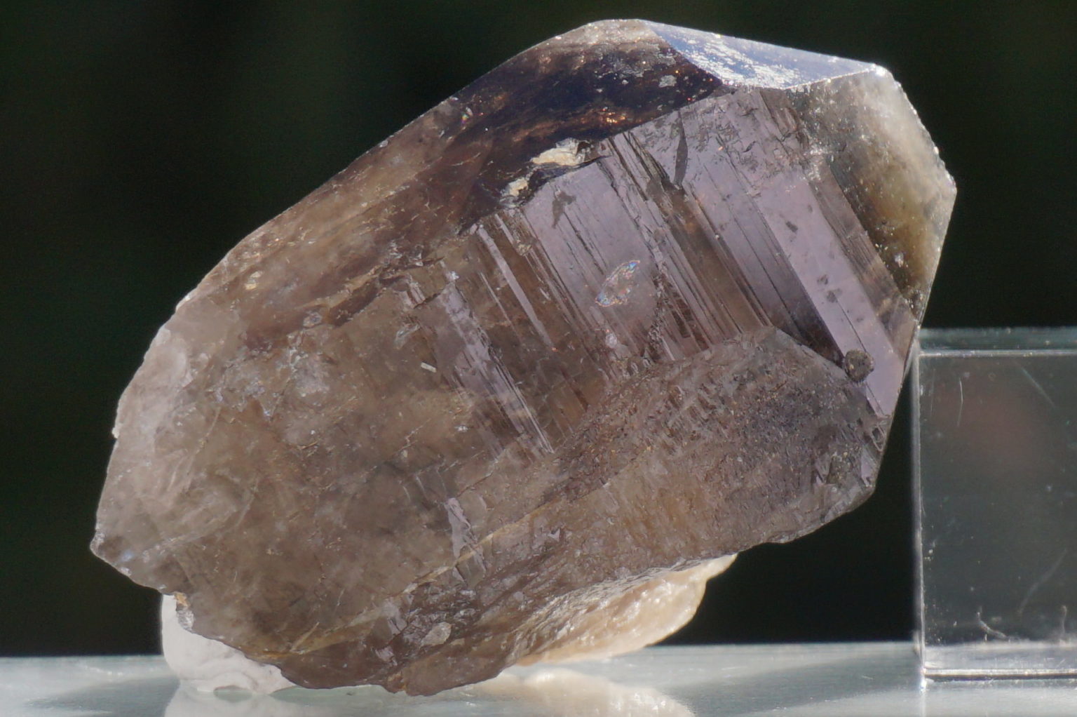 nakatsugawa-smokey89