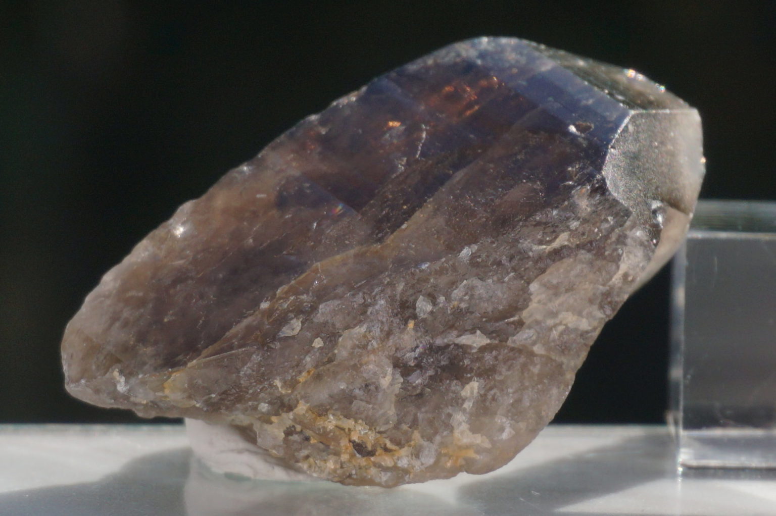 nakatsugawa-smokey89