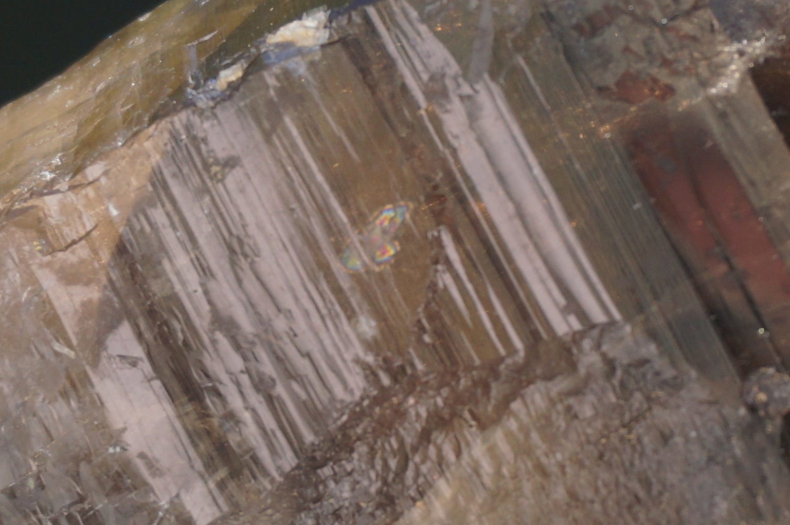 nakatsugawa-smokey89