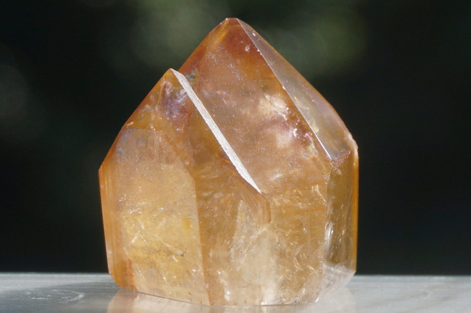 red-dream-coat-lemurian-polish08