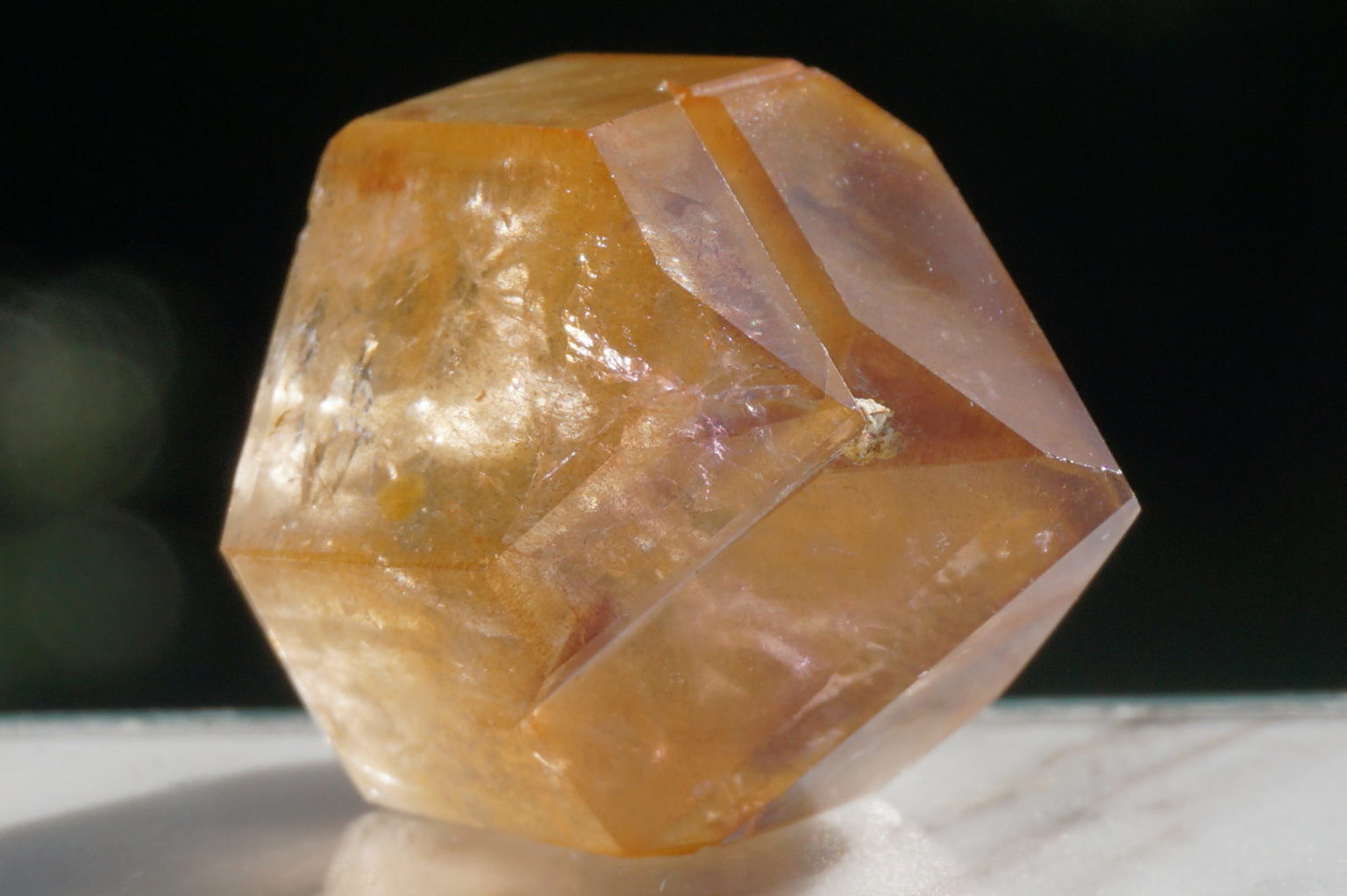 red-dream-coat-lemurian-polish08