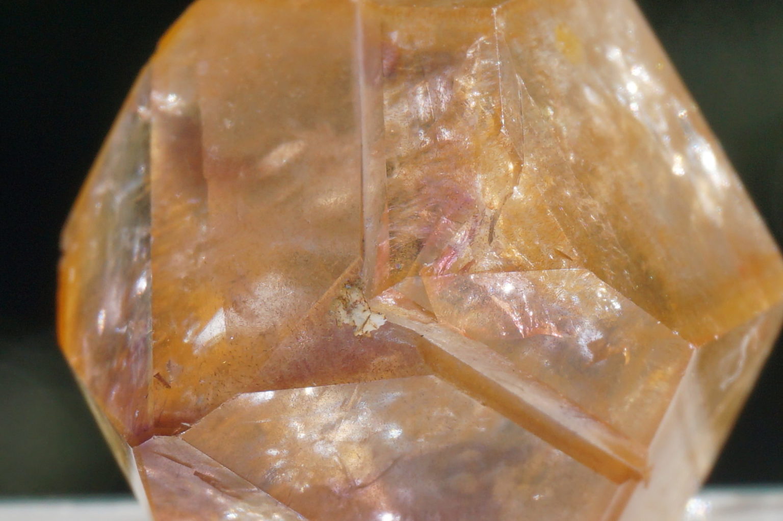 red-dream-coat-lemurian-polish08