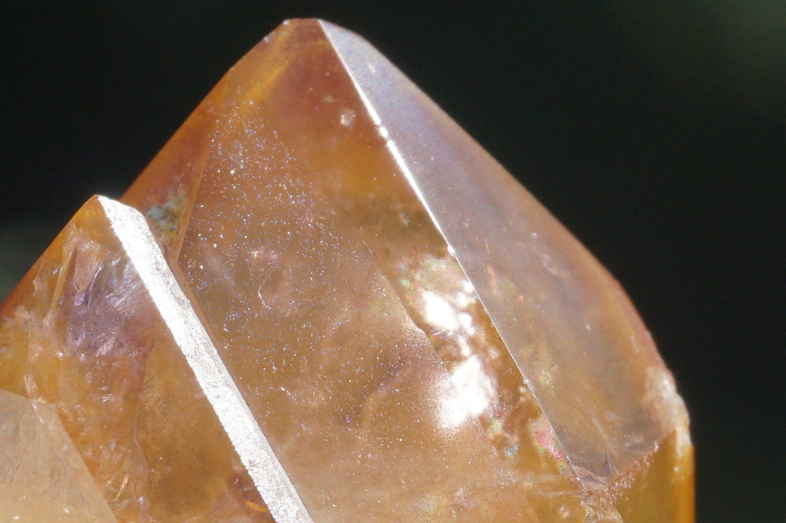 red-dream-coat-lemurian-polish08