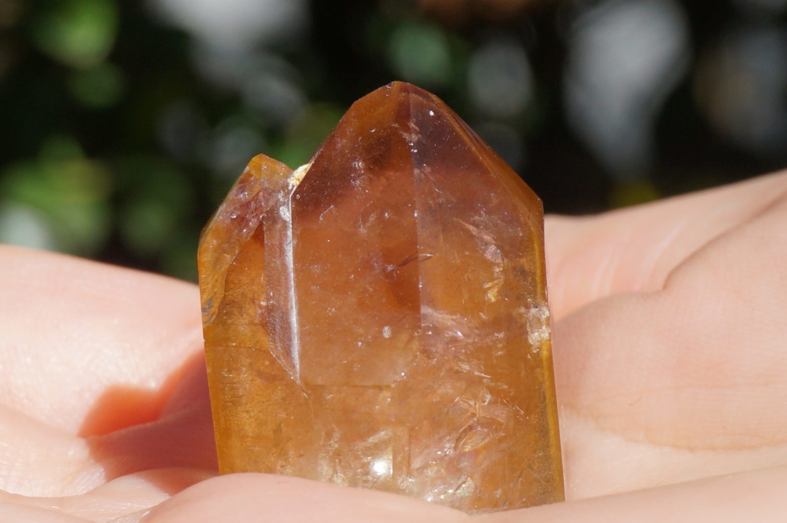 red-dream-coat-lemurian-polish08