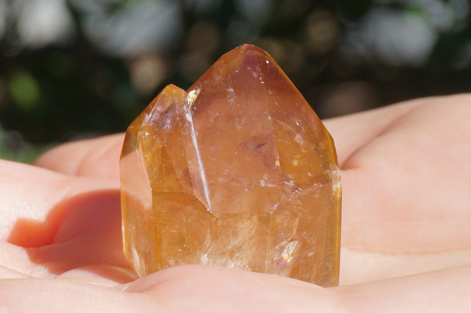 red-dream-coat-lemurian-polish08