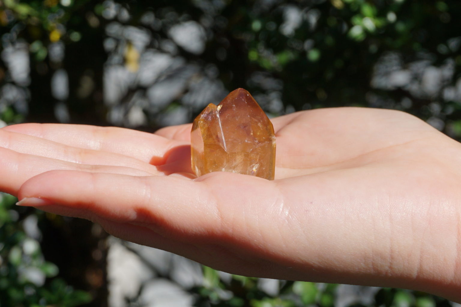 red-dream-coat-lemurian-polish08