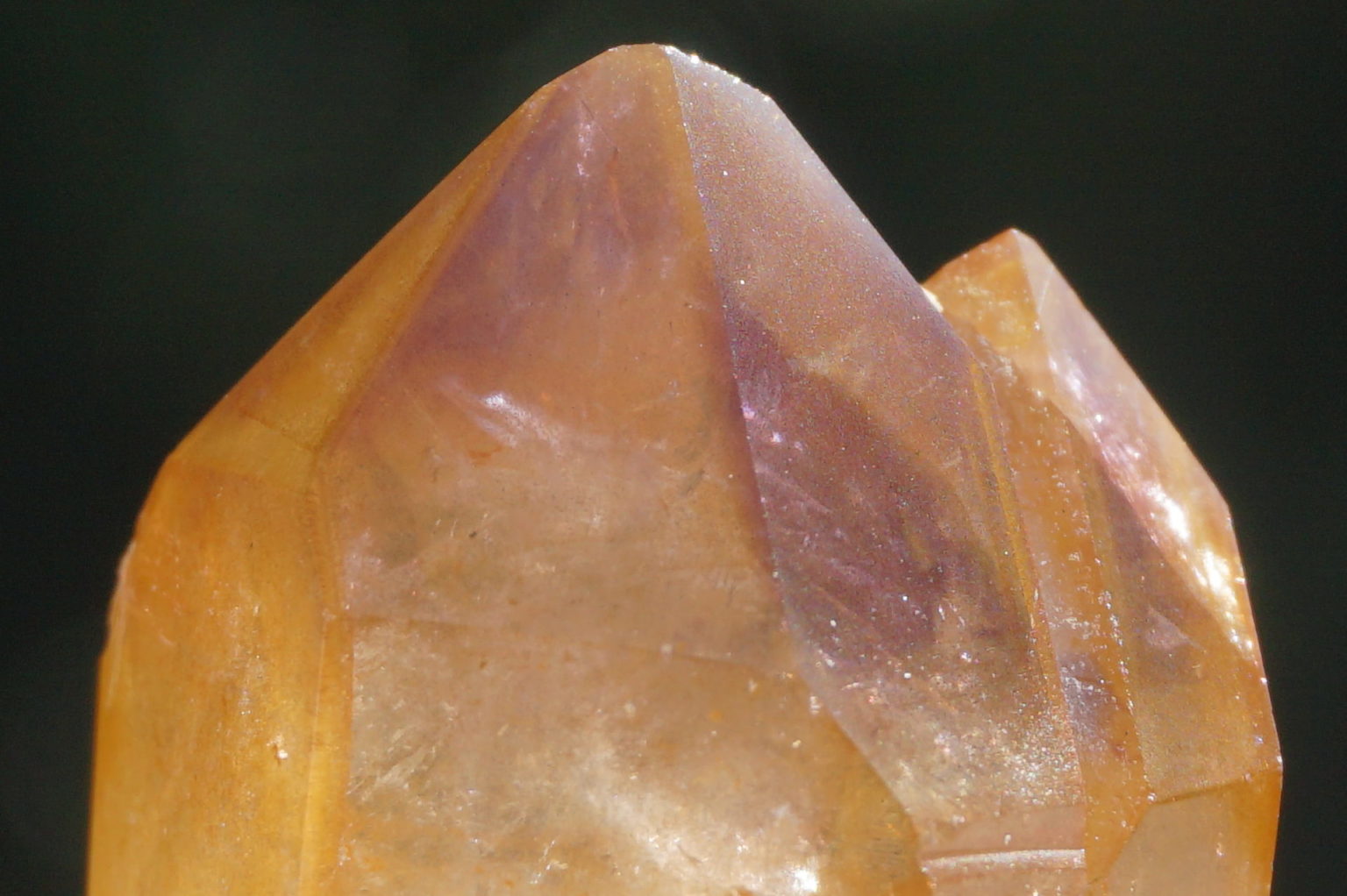 red-dream-coat-lemurian-polish08