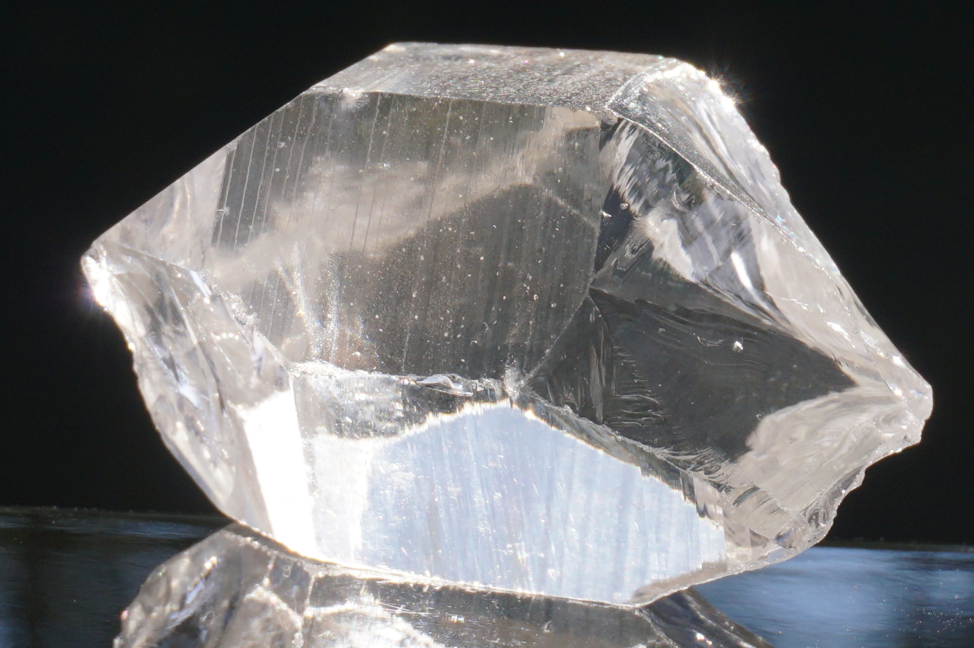 デイビット・ガイガー　ロシアンレムリアンシード　カービング　ロシレム デイビット・ガイガー ロシアンレムリアンシード カービング ロシレム