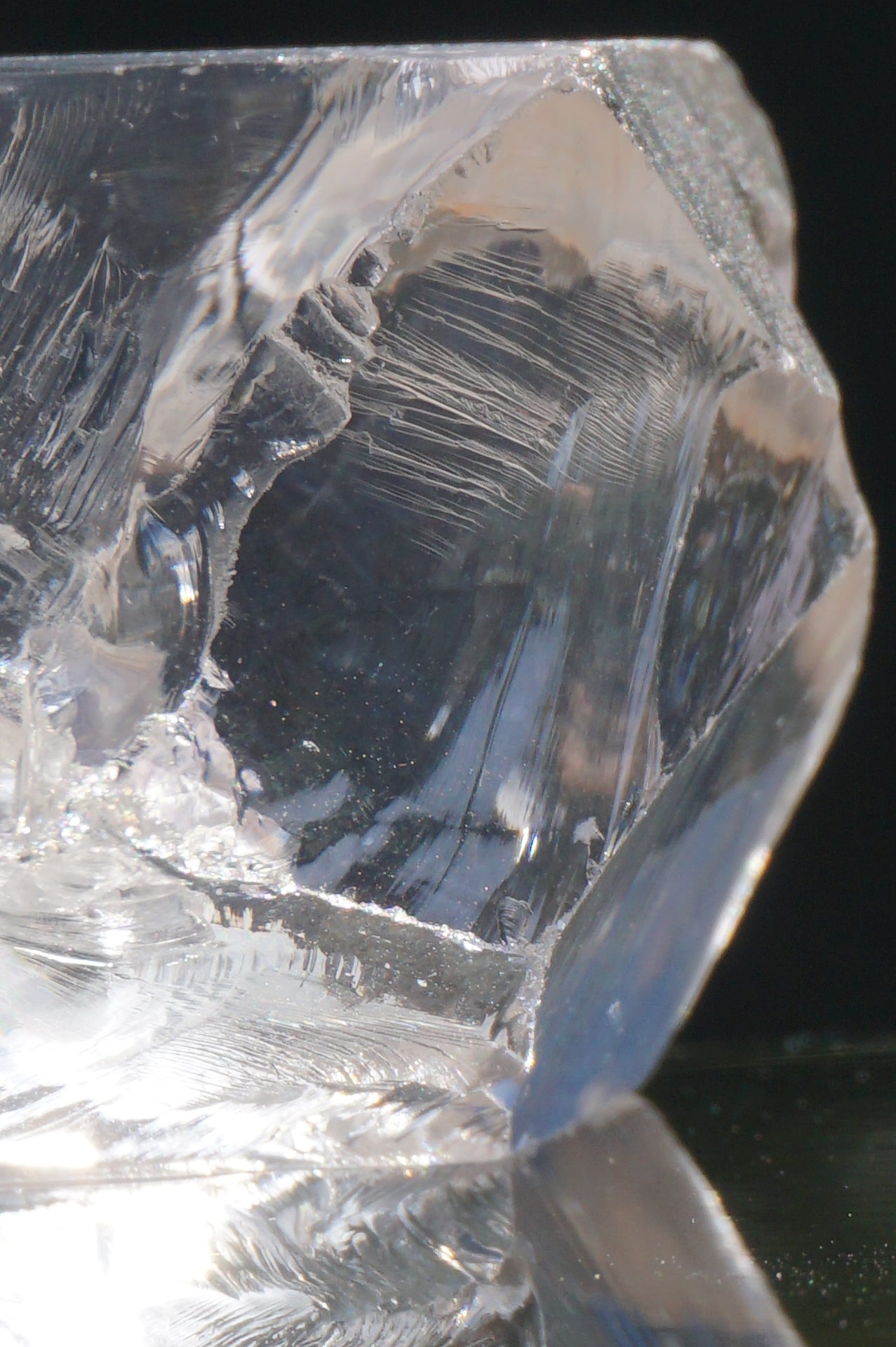 デイビット・ガイガー　ロシアンレムリアンシード　カービング　ロシレム デイビット・ガイガー ロシアンレムリアンシード カービング ロシレム