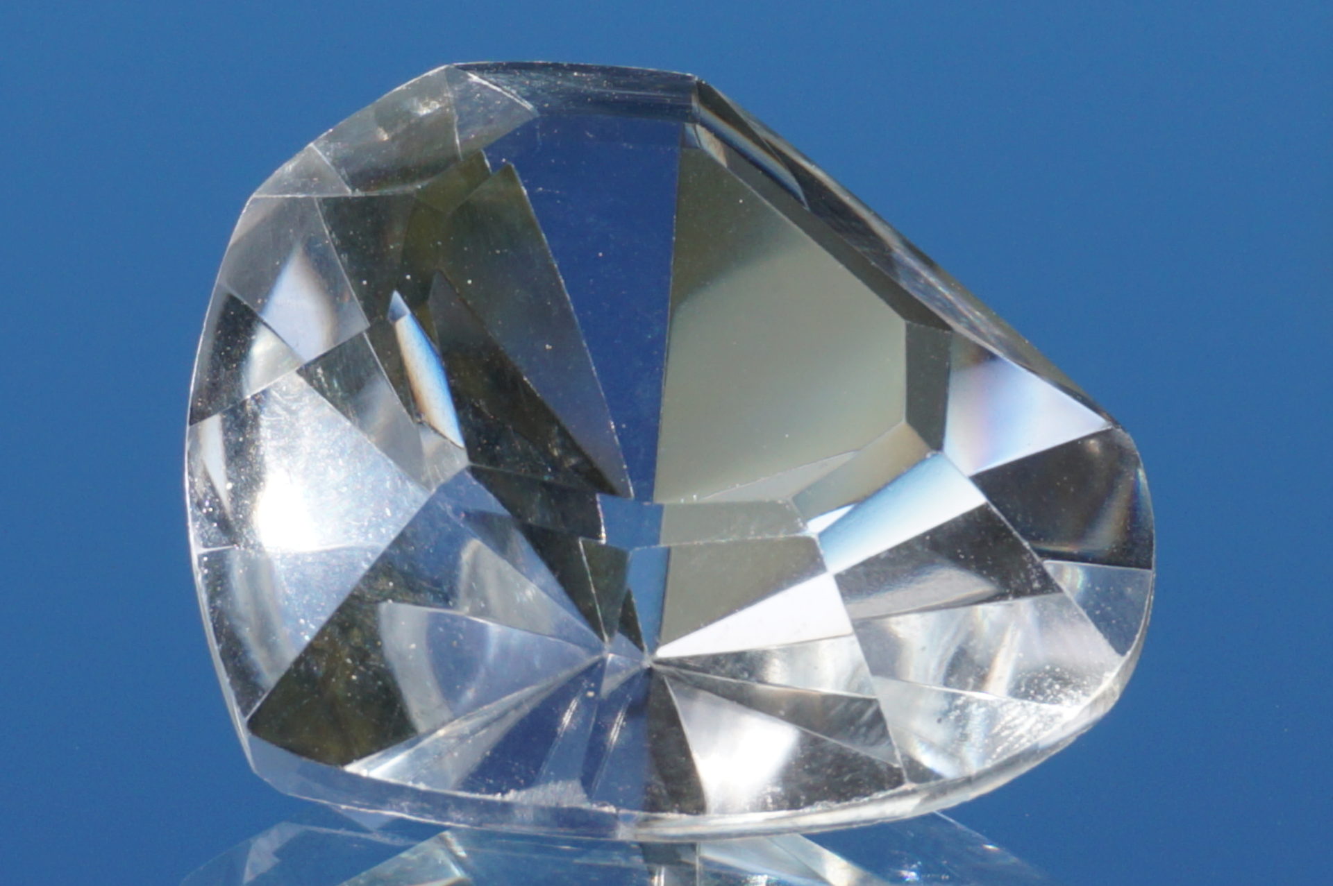 heart-goias-lemurain02