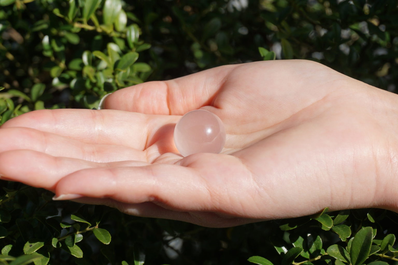 metamorphosis-sphere02