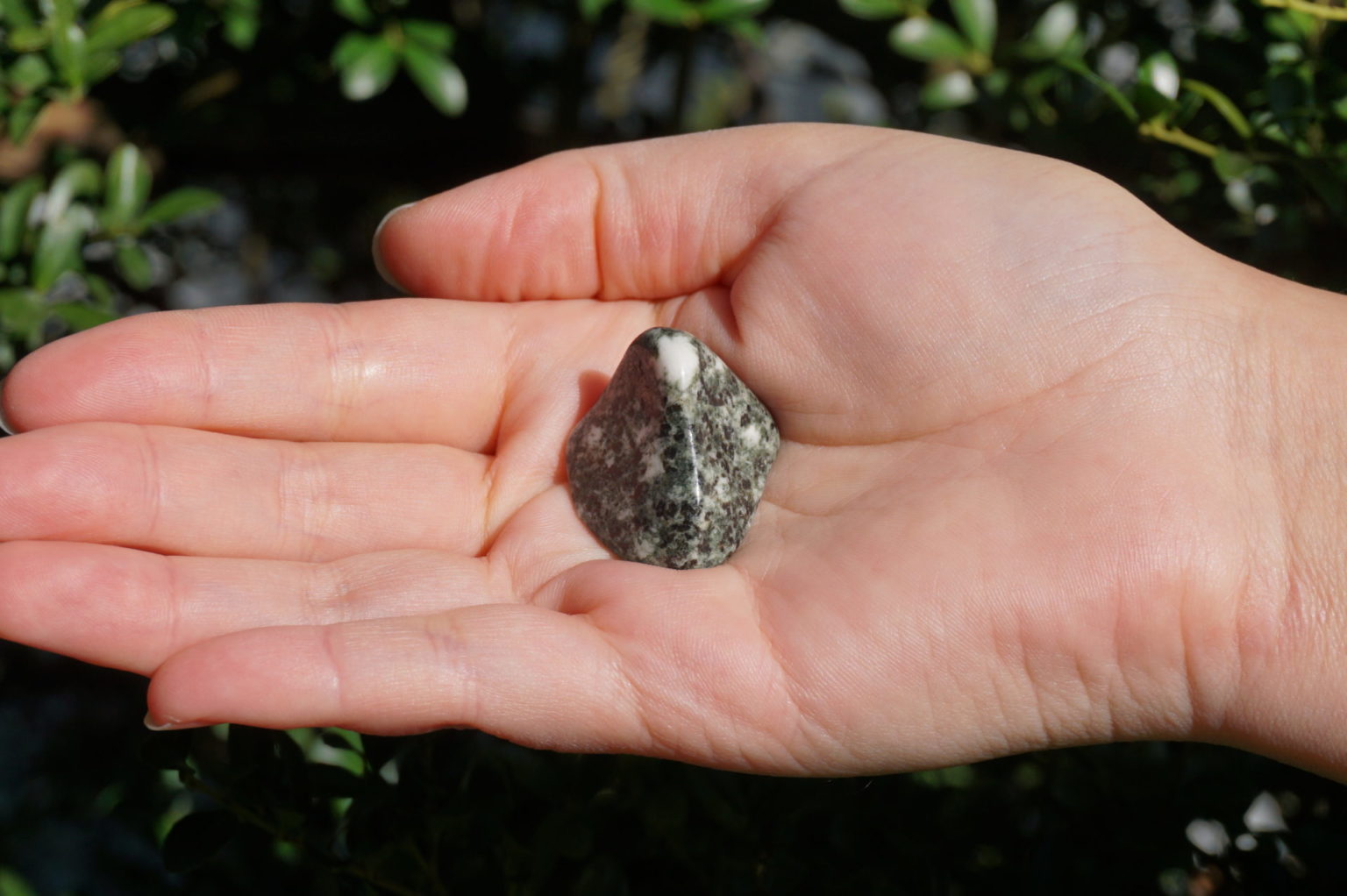 プレセリブルーストーン（ストーンヘンジの石）【希少】 - リアファル