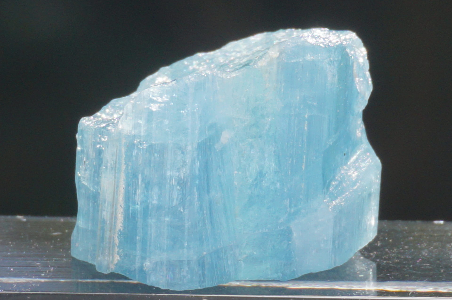 SOLD OUT アーカイブ - リアファル